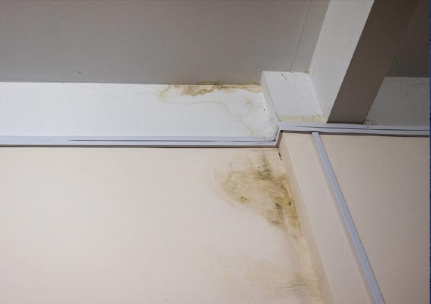 What Causes Wet Ceilings?