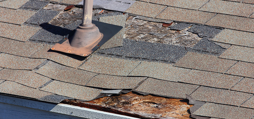 Damaged Roof Shingles